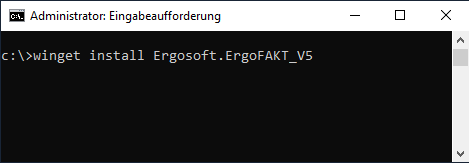 Installation ErgoFAKT mittels winget